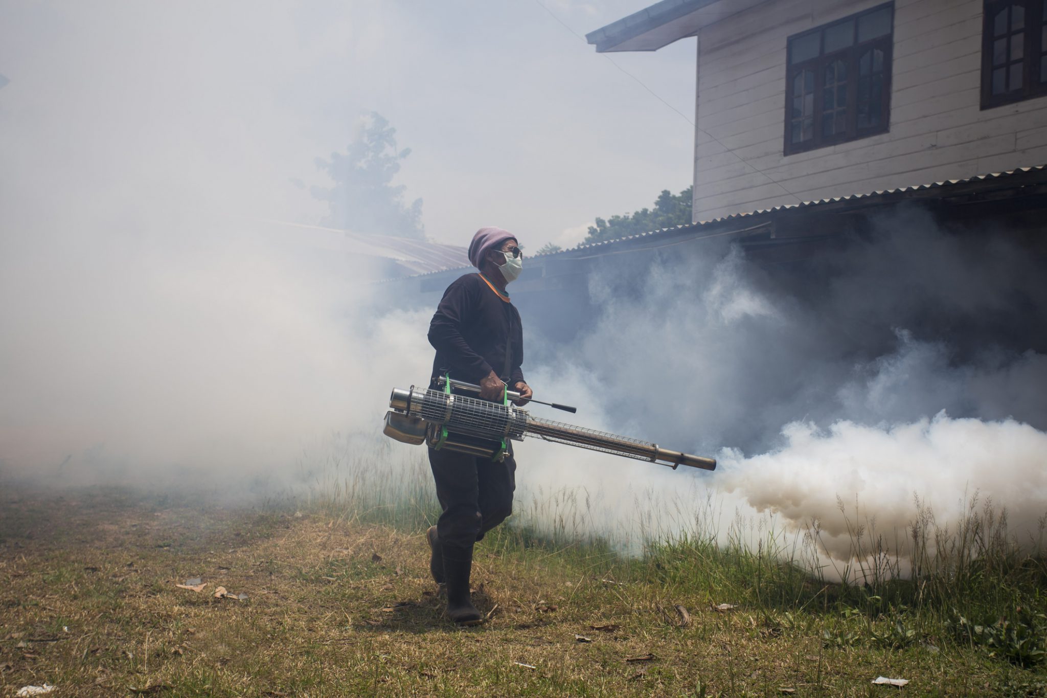 Fogging to prevent spread of dengue fever GeoPoll