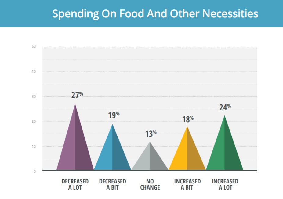 economic impact of covid: spending on essentials