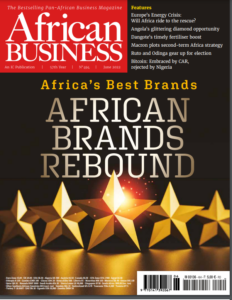 Brand Africa 100 2022