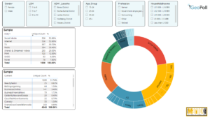 Attention Landscape SADEC Lesotho report