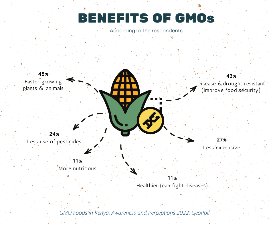 For the respondents, the advantages they mostly cited were that genetically modified plants and animals grow faster (48%) and are more drought-and disease-resistant hence better for Kenya’s food security (43%). Twenty-seven percent believe that GMOs may be less expensive, which would be a clear advantage given the ballooning cost of living, and 24% like that GMOs would typically use less pesticides.