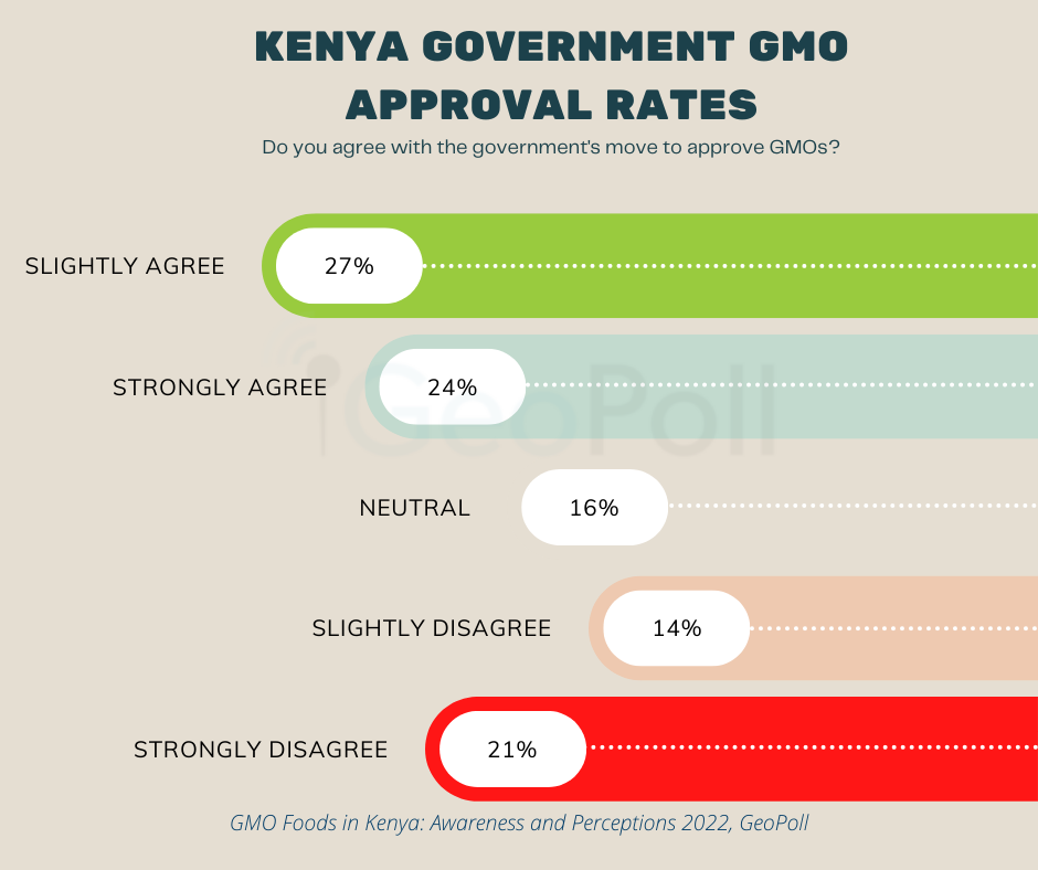A good number agrees with the Kenya government's move to lift the ban on GMO foods