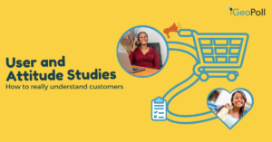 User and Attitude Studies