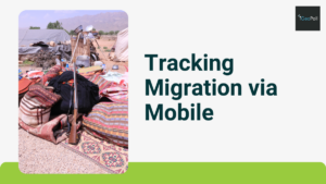 Tracking Migration via Mobile